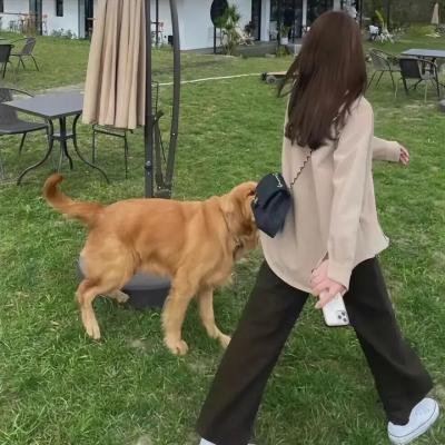 倒影